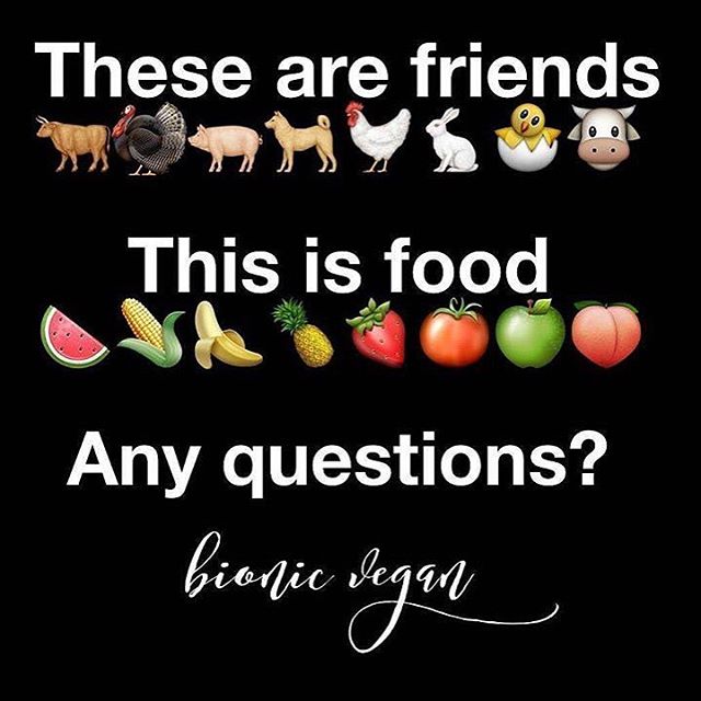 100 Inspiring Yoga Quote Graphics | PLR Bundle Collection 10