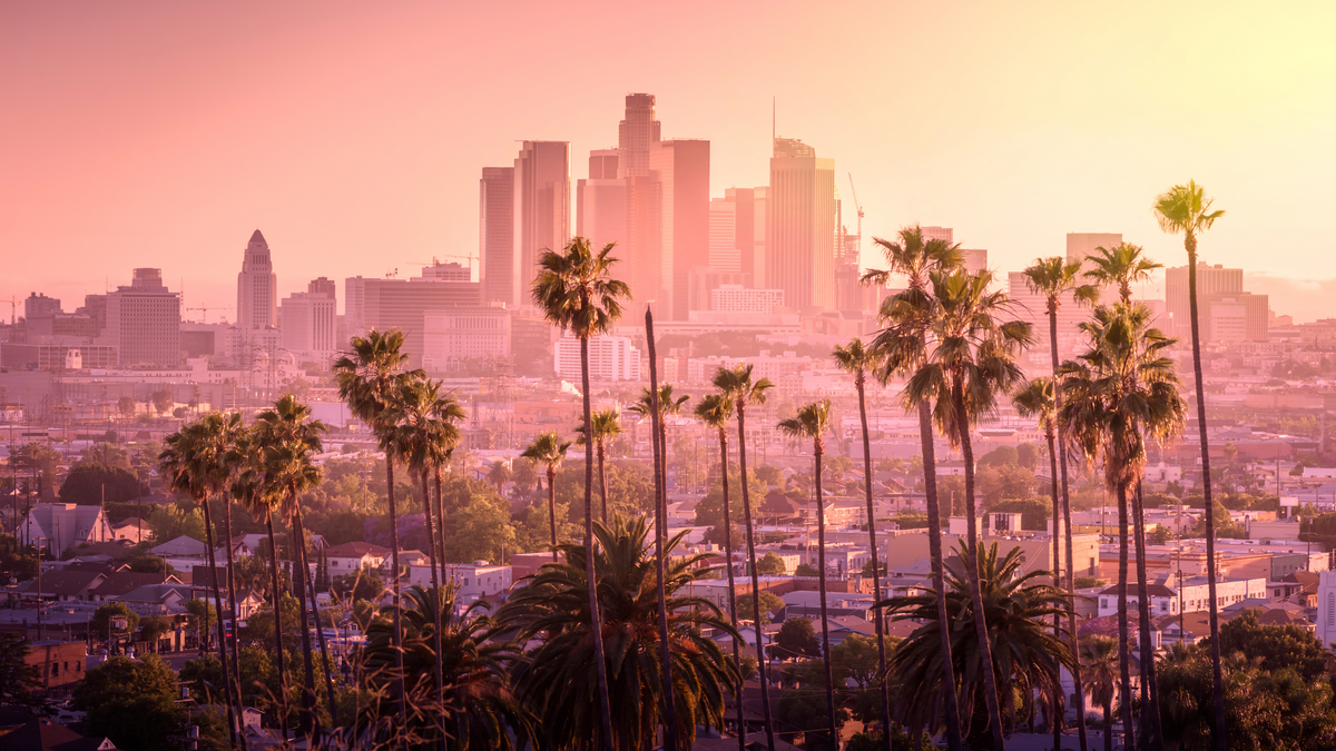 Ready To Use Zoom & Google Meet Backgrounds - Cities, Studios