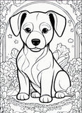 209 Animal-Themed Coloring Pages – Resellable PLR for Kids