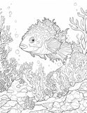 40 Ocean Coral Life Coloring Pages – Resellable PLR for Kids