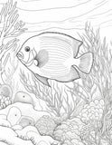40 Ocean Coral Life Coloring Pages – Resellable PLR for Kids