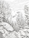 40 Ocean Coral Life Coloring Pages – Resellable PLR for Kids