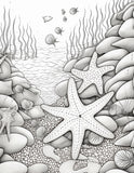 40 Ocean Coral Life Coloring Pages – Resellable PLR for Kids