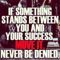 100 Motivational Fitness Quote Graphics + PLR Rights #17