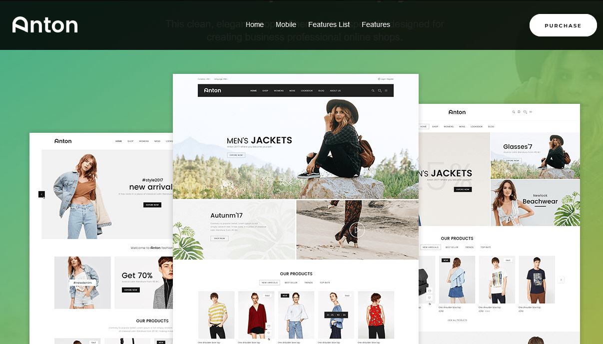 Beautiful, Customizable Shopify Themes Collection 3