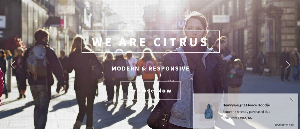 21 Premium Shopify Themes – Elevate Your Online Store Collection 7