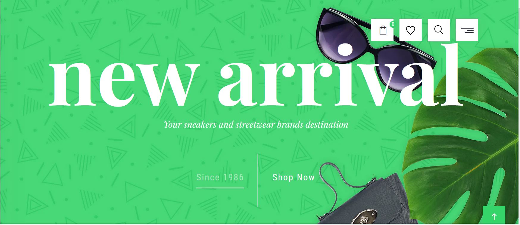 21 Premium Shopify Themes – Elevate Your Online Store Collection 6