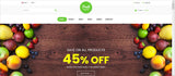 Beautiful, Customizable Shopify Themes Collection 9