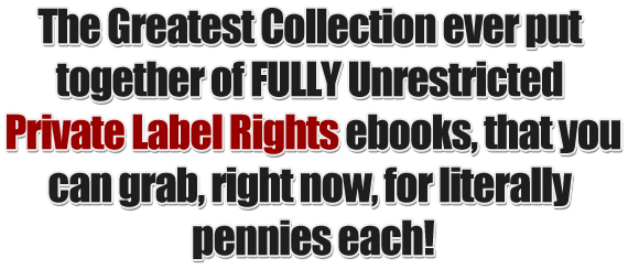 89 Resellable Ebooks – Business, Marketing, Self-Help & More