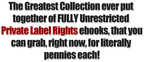 89 Resellable Ebooks – Business, Marketing, Self-Help & More