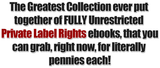 The Ultimate PLR Collection: 89 Unrestricted Products for Unbeatable Profits!