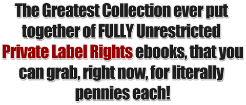 The Ultimate PLR Collection: 89 Unrestricted Products for Unbeatable Profits!